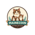 Mainecoon Kittens For Sale